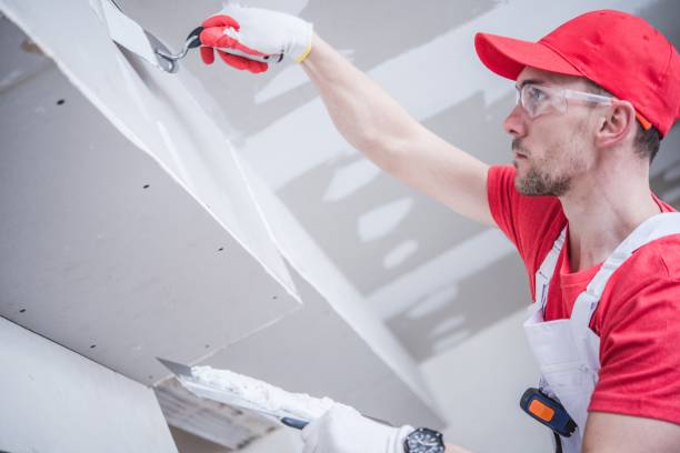 Best Post-Construction Mold Inspection  in Antlers, OK